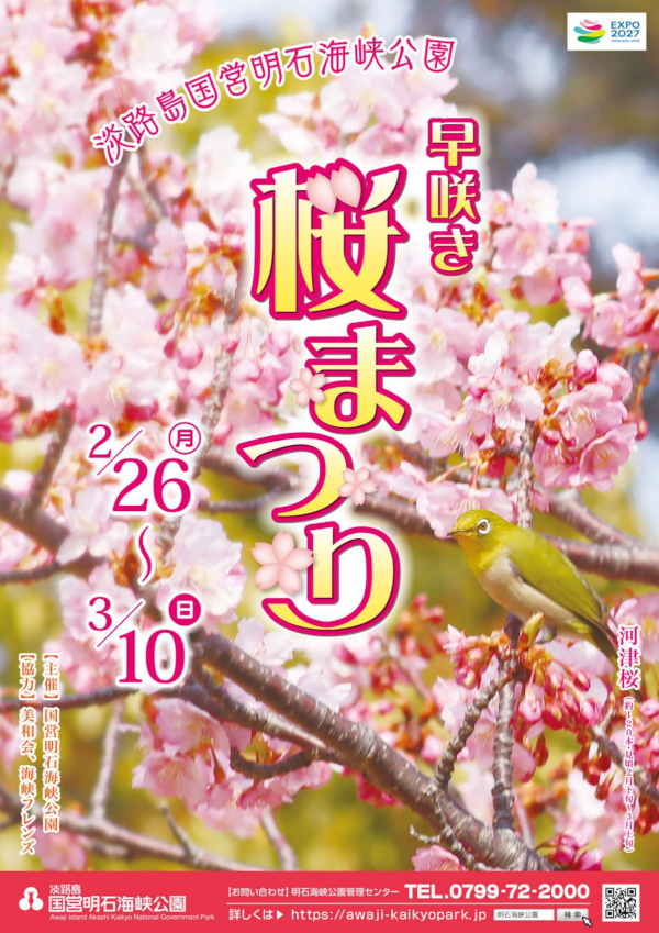 淡路島 国営明石海峡公園　桜まつり チラシ