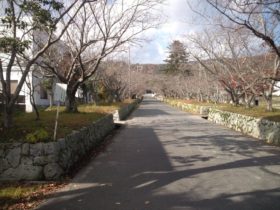 賀集八幡神社の長い参道